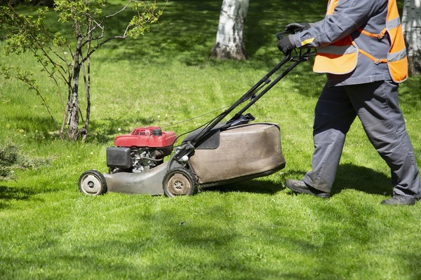 Landscaping Contractor
