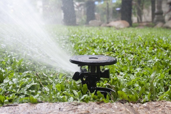 Sprinkler System